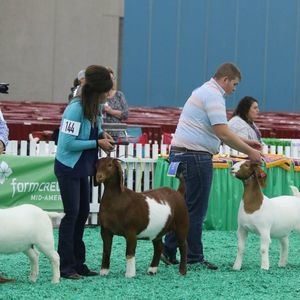 Meet your Posher, Casey